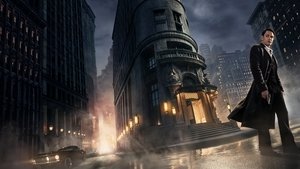 undefined Images
